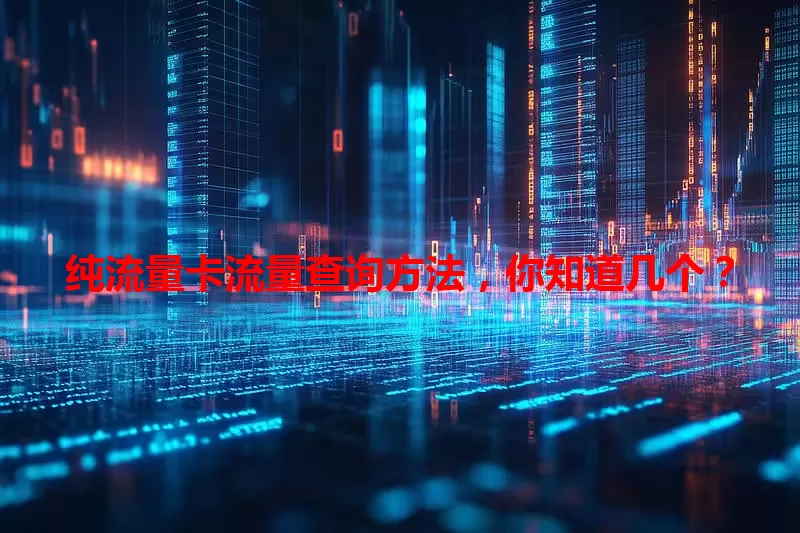 纯流量卡流量查询方法，你知道几个？