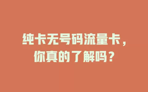 纯卡无号码流量卡，你真的了解吗？