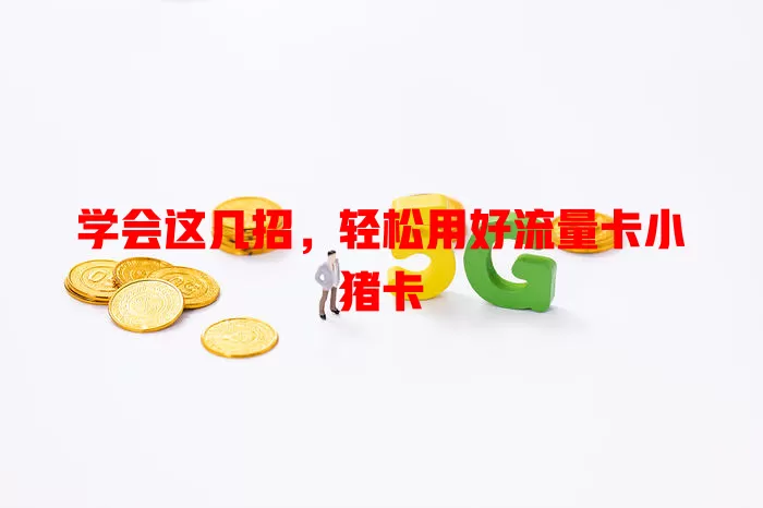 学会这几招，轻松用好流量卡小猪卡