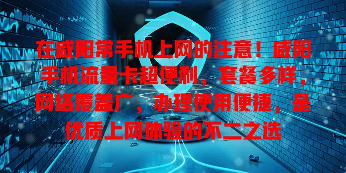 在咸阳常手机上网的注意！咸阳手机流量卡超便利，套餐多样，网络覆盖广，办理使用便捷，是优质上网体验的不二之选