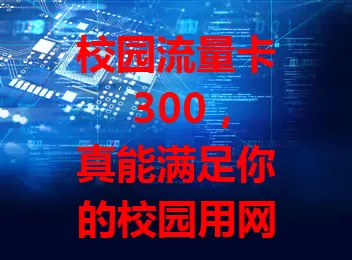 校园流量卡 300，真能满足你的校园用网需求？