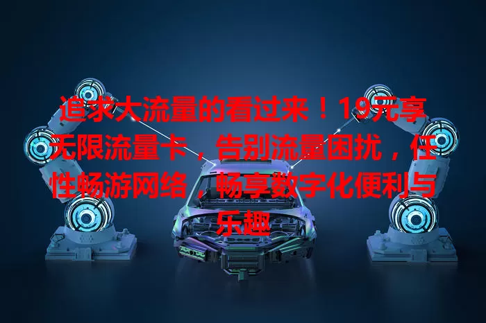 追求大流量的看过来！19元享无限流量卡，告别流量困扰，任性畅游网络，畅享数字化便利与乐趣