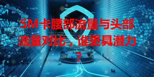 SM卡腰部流量与头部流量对比，谁更具潜力？