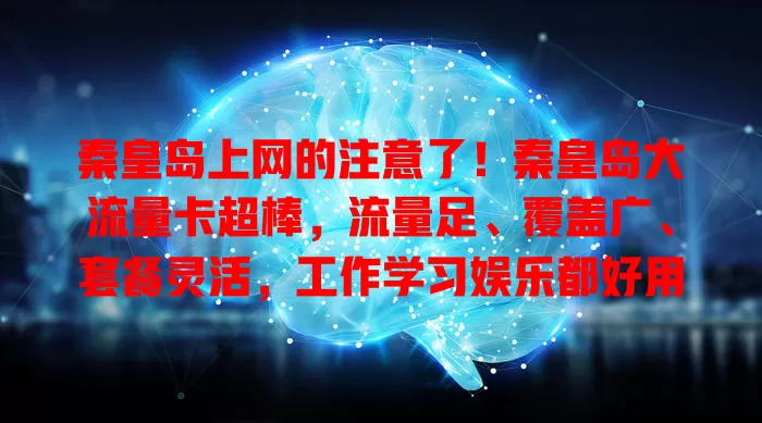 秦皇岛上网的注意了！秦皇岛大流量卡超棒，流量足、覆盖广、套餐灵活，工作学习娱乐都好用