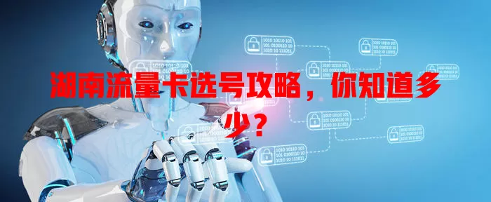 湖南流量卡选号攻略，你知道多少？