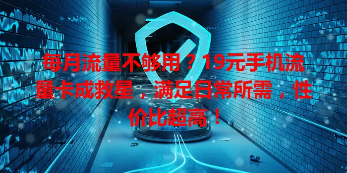 每月流量不够用？19元手机流量卡成救星，满足日常所需，性价比超高！