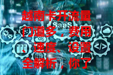 越南卡开流量门道多，费用、速度、设置全解析，你了解吗？