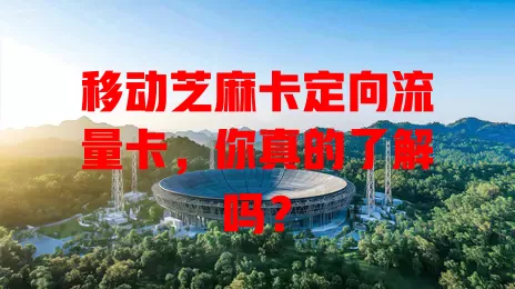 移动芝麻卡定向流量卡，你真的了解吗？