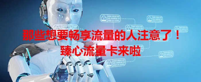 那些想要畅享流量的人注意了！臻心流量卡来啦