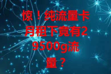 惊！纯流量卡月租下竟有29500g流量？