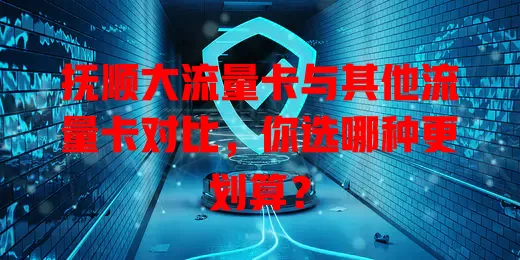 抚顺大流量卡与其他流量卡对比，你选哪种更划算？