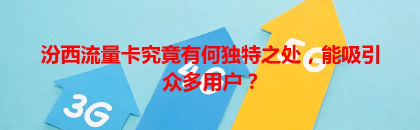 汾西流量卡究竟有何独特之处，能吸引众多用户？