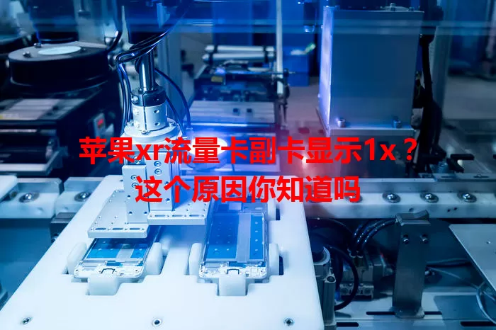 苹果xr流量卡副卡显示1x？这个原因你知道吗