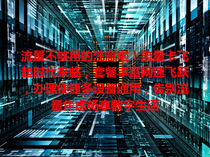 流量不够用的注意啦！流量卡飞起时代来临，套餐丰富网速飞跃，办理便捷多设备通用，告别流量焦虑畅享数字生活