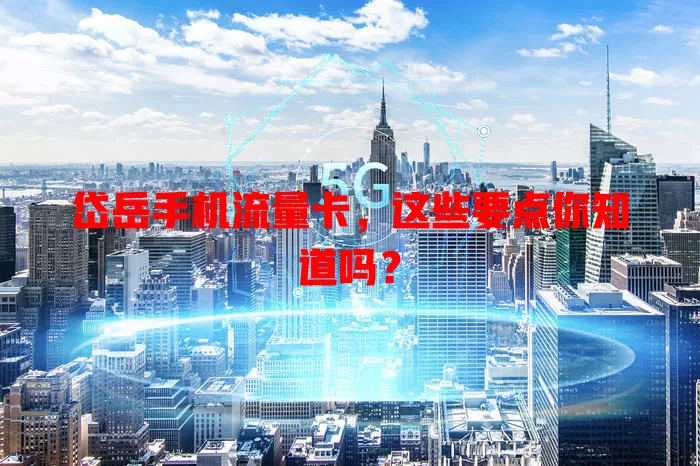 岱岳手机流量卡，这些要点你知道吗？