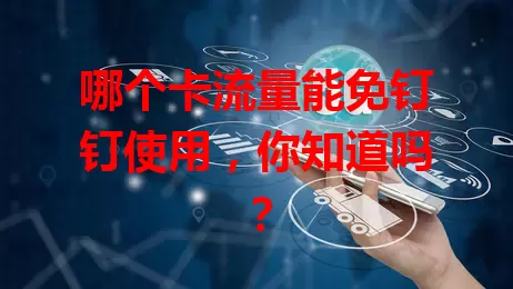 哪个卡流量能免钉钉使用，你知道吗？