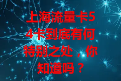 上海流量卡54卡到底有何特别之处，你知道吗？