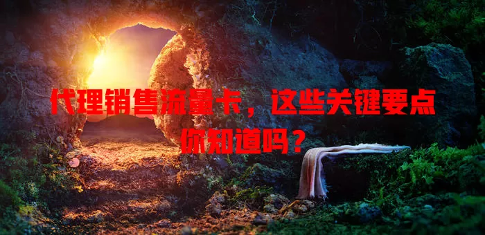 代理销售流量卡，这些关键要点你知道吗？