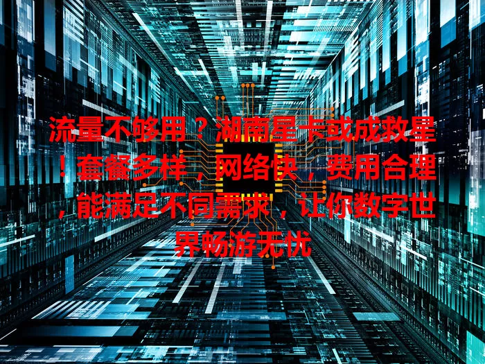 流量不够用？湖南星卡或成救星！套餐多样，网络快，费用合理，能满足不同需求，让你数字世界畅游无忧