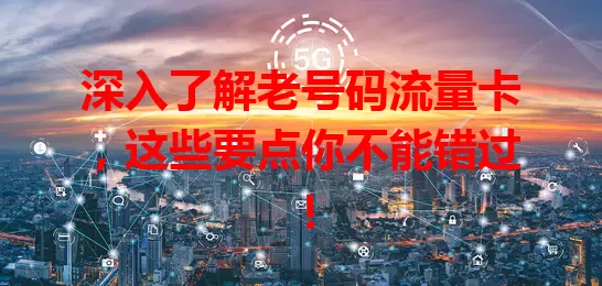 深入了解老号码流量卡，这些要点你不能错过！