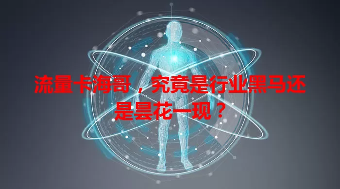 流量卡海哥，究竟是行业黑马还是昙花一现？
