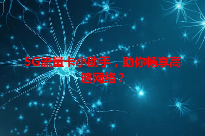 5G流量卡小助手，助你畅享高速网络？