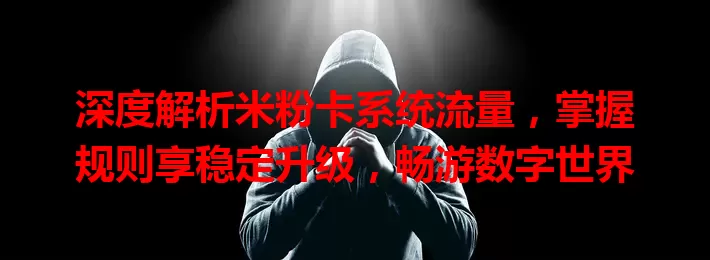 深度解析米粉卡系统流量，掌握规则享稳定升级，畅游数字世界