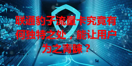 联通豹子流量卡究竟有何独特之处，能让用户为之青睐？