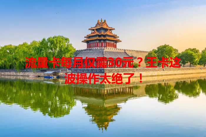 流量卡每月仅需30元？王卡这波操作太绝了！