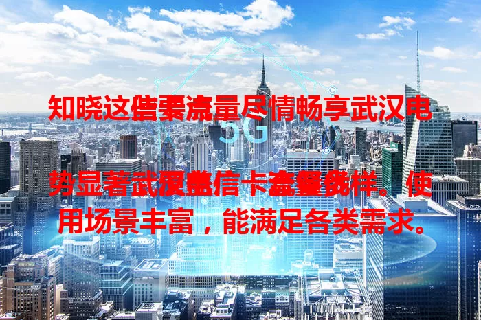 知晓这些要点，尽情畅享武汉电信卡流量

武汉电信卡流量优势显著，覆盖广，套餐多样。使用场景丰富，能满足各类需求。使用时注意有效期与优先级，优化体验，发挥其价值，带来优质上网感受 。
