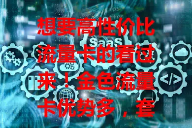 想要高性价比流量卡的看过来！金色流量卡优势多，套餐选择丰富，网络速度出色，费用性价比高。但选卡要谨慎，了解套餐详情与网络覆盖，综合考量挑适合自己的，畅享数字化便利！