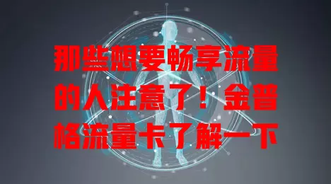 那些想要畅享流量的人注意了！金普格流量卡了解一下
