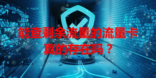 能查剩余流量的流量卡真的存在吗？