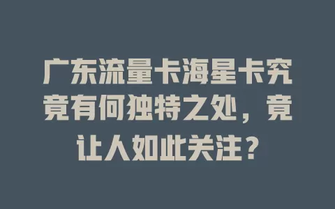 广东流量卡海星卡究竟有何独特之处，竟让人如此关注？