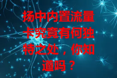 扬中内置流量卡究竟有何独特之处，你知道吗？
