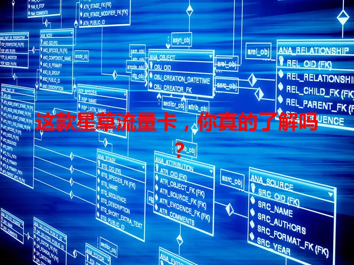 这款星草流量卡，你真的了解吗？