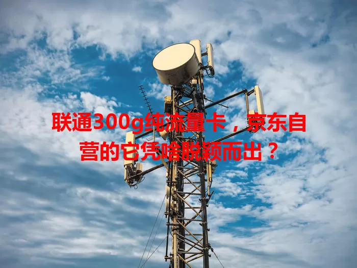 联通300g纯流量卡，京东自营的它凭啥脱颖而出？