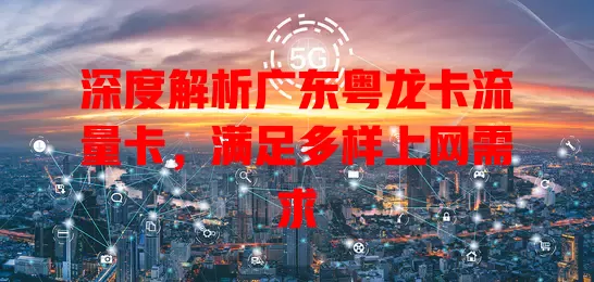 深度解析广东粤龙卡流量卡，满足多样上网需求