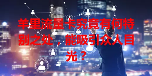 羊里流量卡究竟有何特别之处，能吸引众人目光？