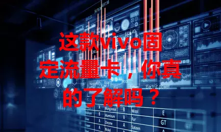 这款vivo固定流量卡，你真的了解吗？