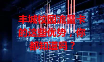丰城校园流量卡的这些优势，你都知道吗？