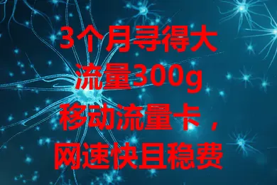 3个月寻得大流量300g移动流量卡，网速快且稳费用省，流量困扰不再有！