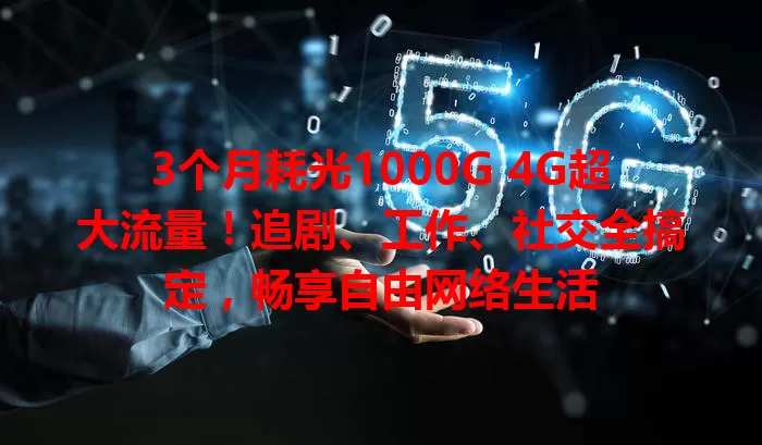 3个月耗光1000G 4G超大流量！追剧、工作、社交全搞定，畅享自由网络生活