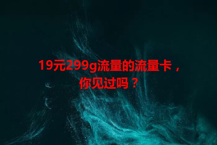 19元299g流量的流量卡，你见过吗？