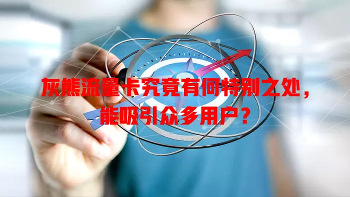 灰熊流量卡究竟有何特别之处，能吸引众多用户？