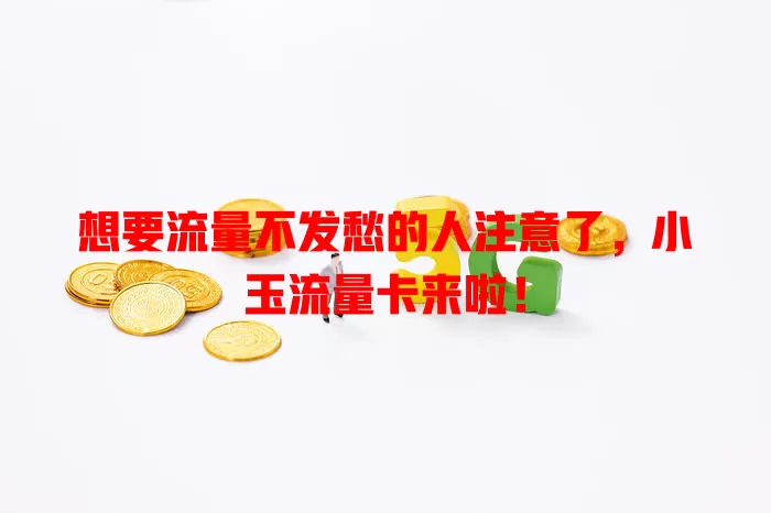 想要流量不发愁的人注意了，小玉流量卡来啦！