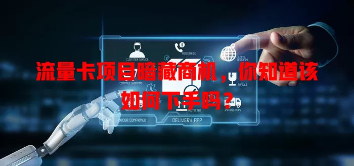 流量卡项目暗藏商机，你知道该如何下手吗？