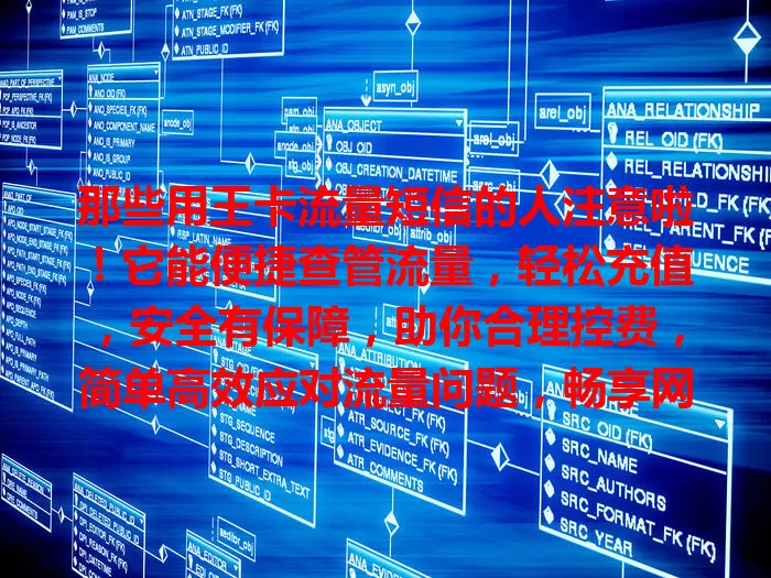 那些用王卡流量短信的人注意啦！它能便捷查管流量，轻松充值，安全有保障，助你合理控费，简单高效应对流量问题，畅享网络生活，快利用优势为体验加分！