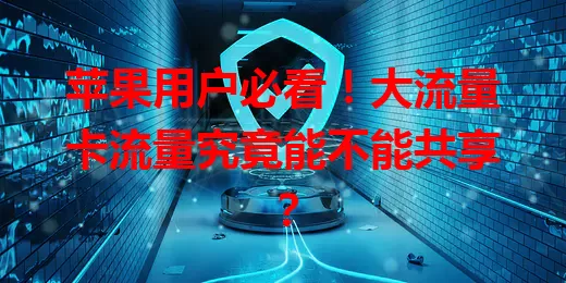 苹果用户必看！大流量卡流量究竟能不能共享？