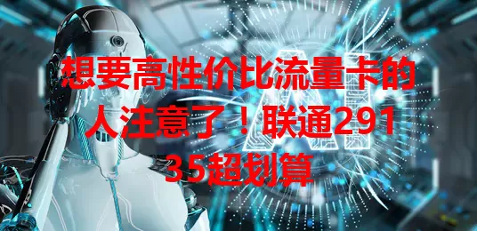 想要高性价比流量卡的人注意了！联通29135超划算